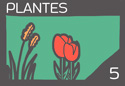 plantes